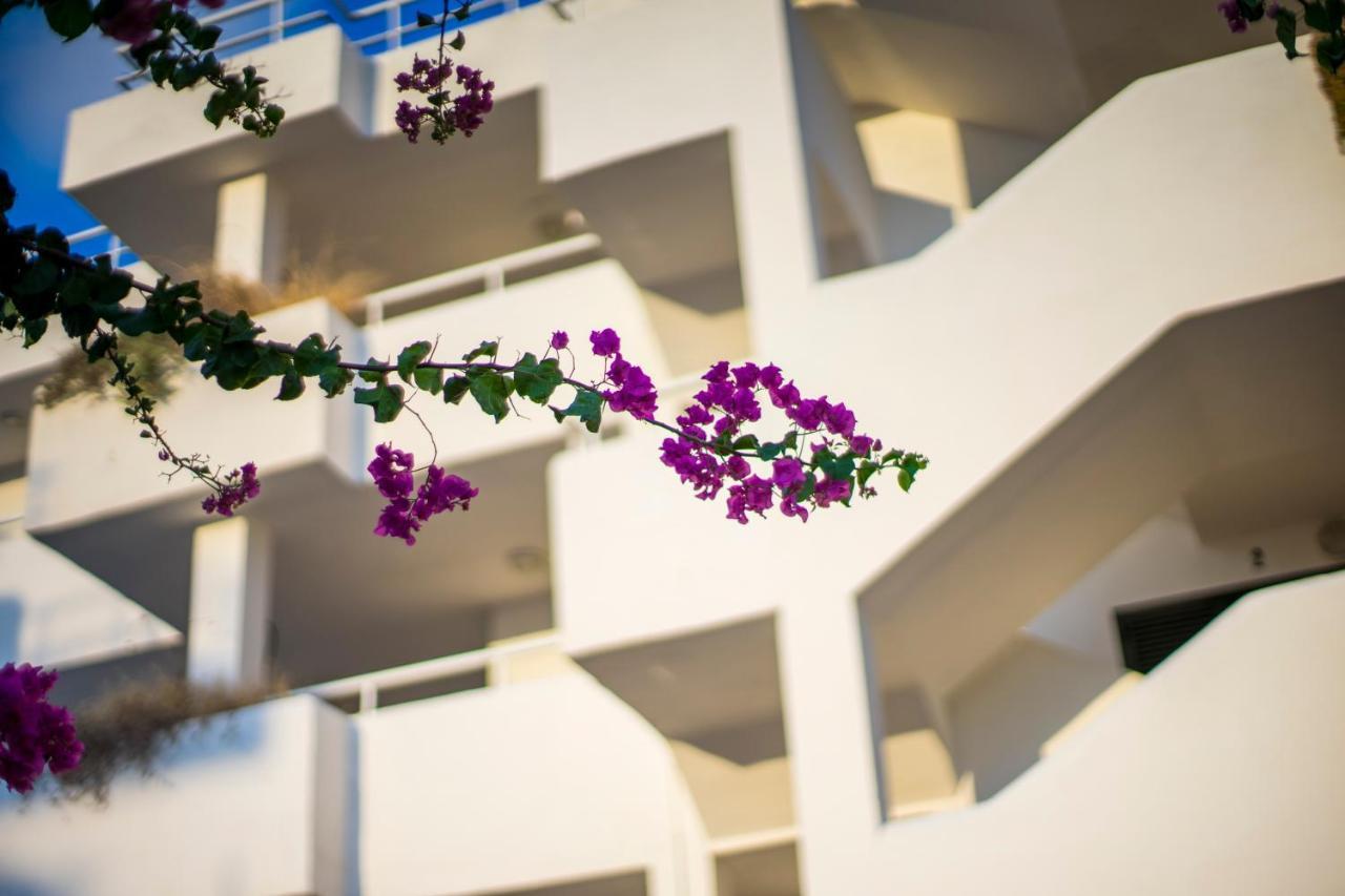 Camelina Suites San Antonio  Exteriör bild
